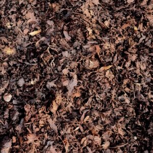 Horse Manure Mulch